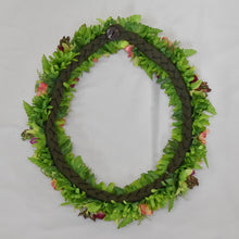 画像をギャラリービューアに読み込む, グリーンマルチレイ